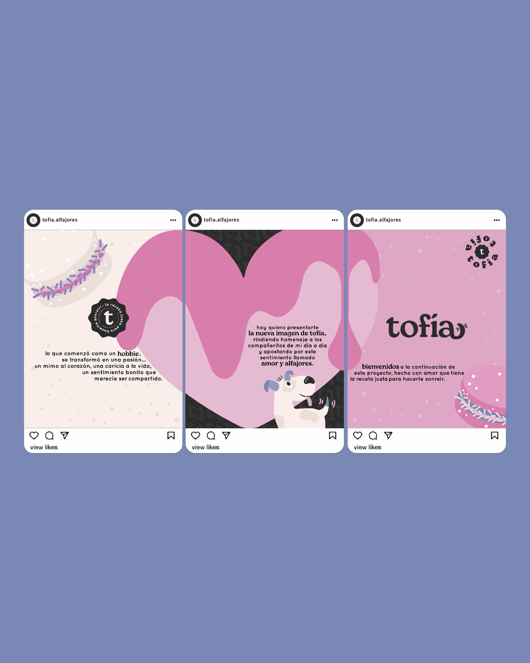 Plantillas - Posteos - Imagen 4